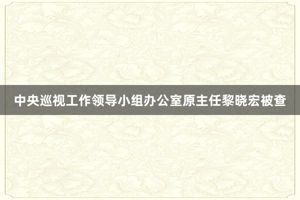 中央巡视工作领导小组办公室原主任黎晓宏被查