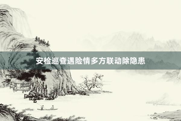 安检巡查遇险情多方联动除隐患
