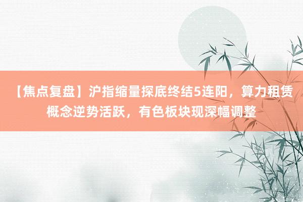 【焦点复盘】沪指缩量探底终结5连阳，算力租赁概念逆势活跃，有色板块现深幅调整