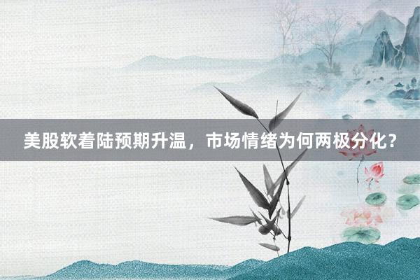 美股软着陆预期升温，市场情绪为何两极分化？