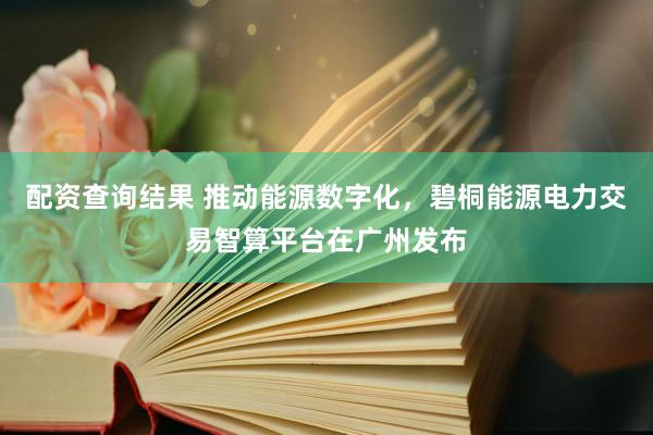 配资查询结果 推动能源数字化，碧桐能源电力交易智算平台在广州发布