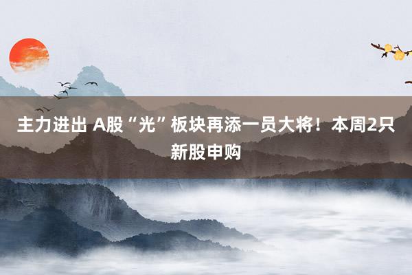 主力进出 A股“光”板块再添一员大将！本周2只新股申购